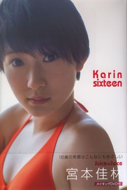 扫黑风暴电视剧在线观看免费完整版